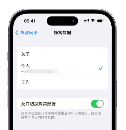 中兴镇苹果维修服务分享如何在iPhone上使用双卡 